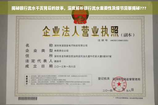 揭秘银行流水千页背后的故事，深度解析银行流水重要性及细节洞察揭秘???