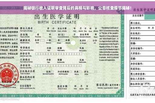 揭秘银行收入证明审查背后的真相与影响，公章核查细节揭秘！