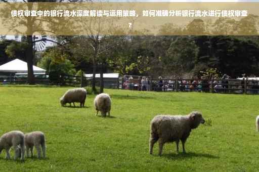 债权审查中的银行流水深度解读与运用策略，如何准确分析银行流水进行债权审查？