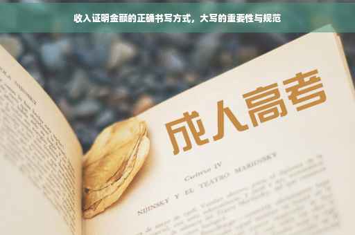收入证明金额的正确书写方式，大写的重要性与规范