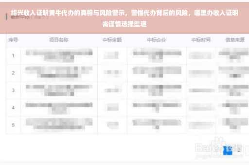 绍兴收入证明黄牛代办的真相与风险警示，警惕代办背后的风险，哪里办收入证明需谨慎选择渠道