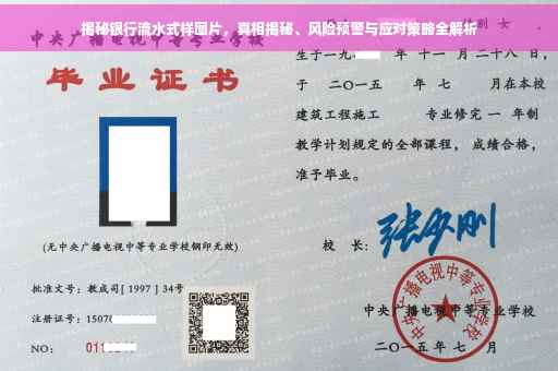 揭秘银行流水式样图片，真相揭秘、风险预警与应对策略全解析