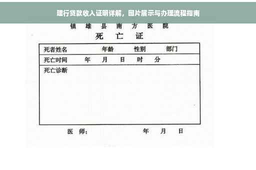 建行贷款收入证明详解，图片展示与办理流程指南