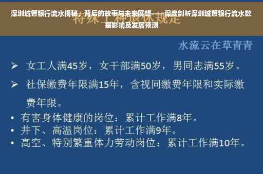 深圳城管银行流水揭秘，背后的故事与未来展望——深度剖析深圳城管银行流水数据影响及发展预测
