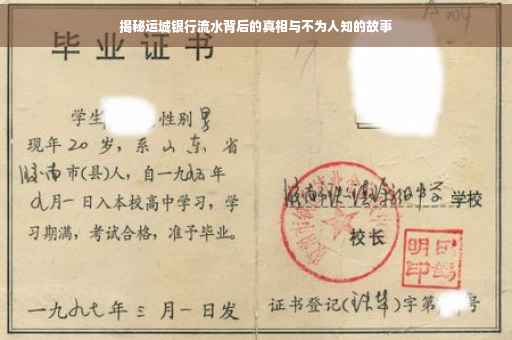 揭秘运城银行流水背后的真相与不为人知的故事
