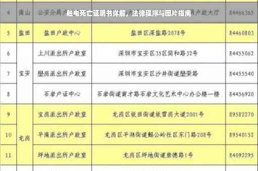 触电死亡证明书详解，法律程序与图片指南