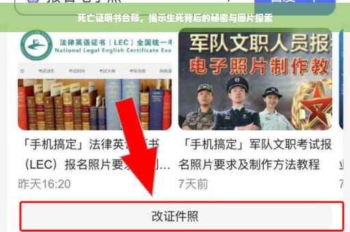 死亡证明书台账，揭示生死背后的秘密与图片探索