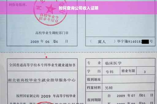 如何查询公司收入证明