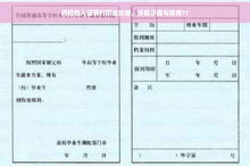 丹阳收入证明打印全攻略，详细步骤与指南??