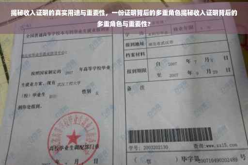 揭秘收入证明的真实用途与重要性，一份证明背后的多重角色揭秘收入证明背后的多重角色与重要性?