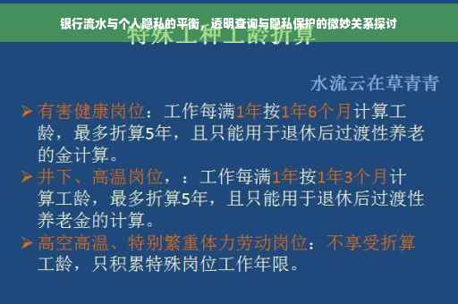 银行流水与个人隐私的平衡，透明查询与隐私保护的微妙关系探讨