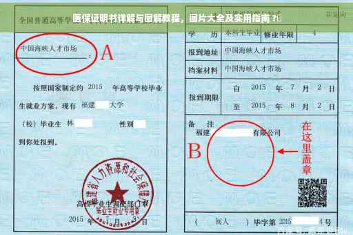 医保证明书详解与图解教程，图片大全及实用指南 ?✨