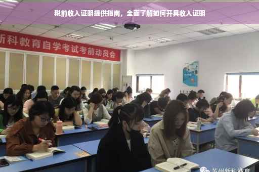 税前收入证明提供指南，全面了解如何开具收入证明