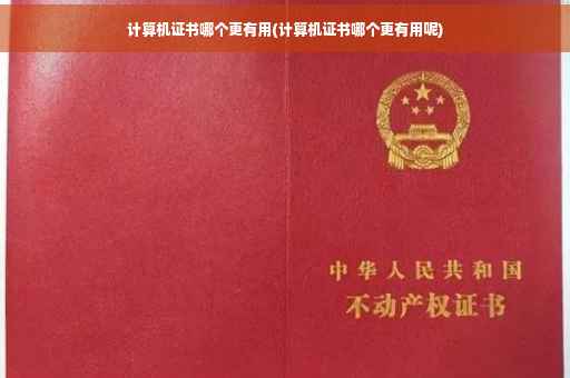 计算机证书哪个更有用(计算机证书哪个更有用呢)