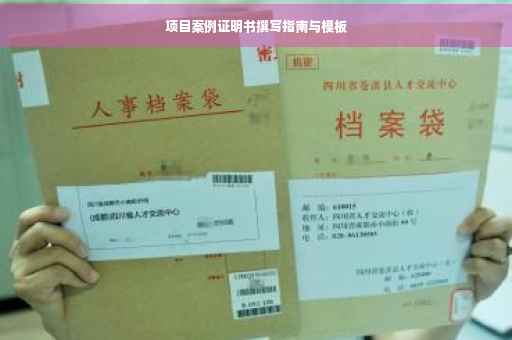 项目案例证明书撰写指南与模板