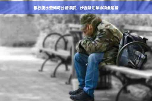 银行流水查询与公证详解，步骤及注意事项全解析