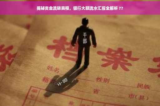 揭秘资金流转真相，银行大额流水汇报全解析 ??