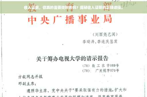 收入证明，你真的需要找财务吗？揭秘收入证明的正确途径。