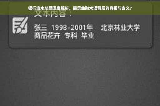 银行流水总额深度解析，揭示金融术语背后的真相与含义?