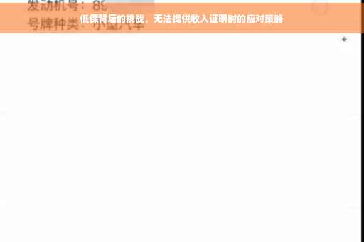 低保背后的挑战，无法提供收入证明时的应对策略