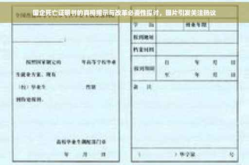 国企死亡证明书的真相揭示与改革必要性探讨，图片引发关注热议