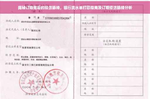揭秘订婚背后的经济脉络，银行流水单打印指南及订婚经济脉络分析