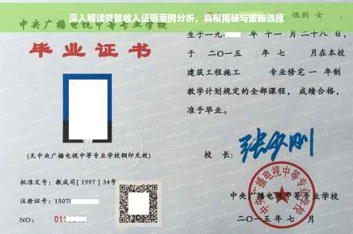 深入解读贷款收入证明案例分析，真相揭秘与策略选择