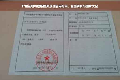 户主证明书模板图片及其使用指南，全面解析与图片大全