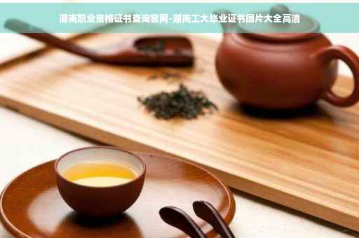 湖南职业资格证书查询官网-湖南工大毕业证书图片大全高清