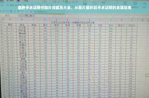 囊肿手术证明书图片详解及大全，从图片解析到手术证明的全面指南