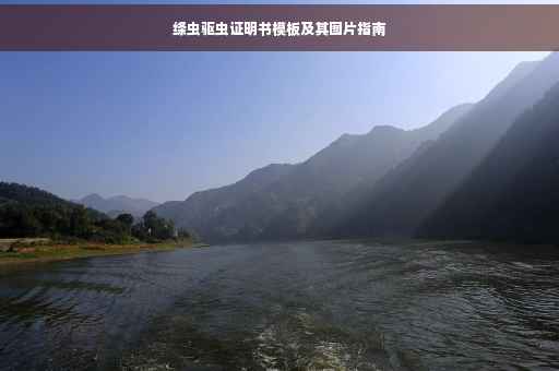绦虫驱虫证明书模板及其图片指南