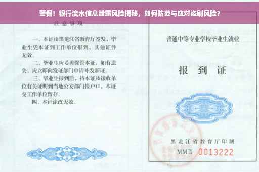 警惕！银行流水信息泄露风险揭秘，如何防范与应对盗刷风险？