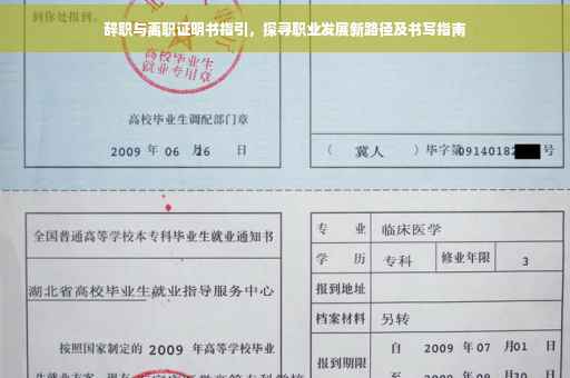 辞职与离职证明书指引，探寻职业发展新路径及书写指南