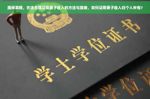 揭秘真相，合法合理证明妻子收入的方法与策略，如何证明妻子收入归个人所有？
