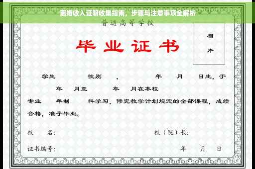 离婚收入证明收集指南，步骤与注意事项全解析