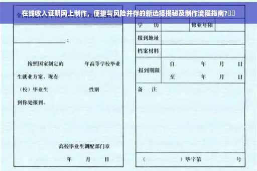 在线收入证明网上制作，便捷与风险并存的新选择揭秘及制作流程指南?⚡️