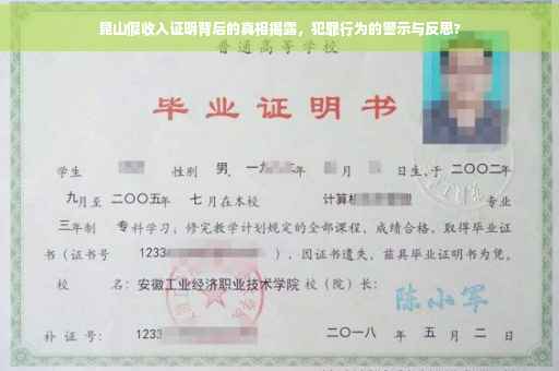 昆山假收入证明背后的真相揭露，犯罪行为的警示与反思?