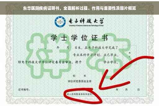 东华医院疾病证明书，全面解析过程、作用与重要性及图片概览