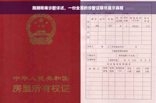 胳膊疼痛诊断详述，一份全面的诊断证明书揭示真相