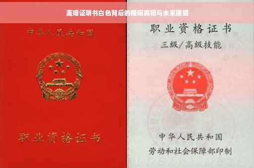 离婚证明书白色背后的婚姻真相与未来展望