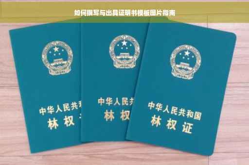 如何撰写与出具证明书模板图片指南
