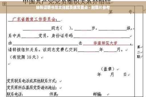 转账证明书范文详解及撰写要点 - 附图片参考