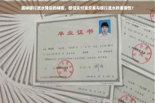揭秘银行流水背后的秘密，微信支付宝交易与银行流水的重要性?