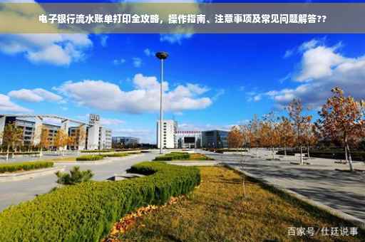电子银行流水账单打印全攻略，操作指南、注意事项及常见问题解答??
