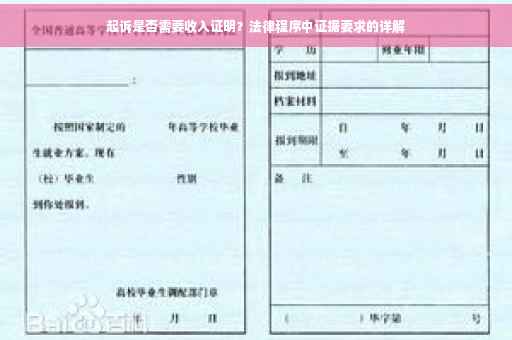 起诉是否需要收入证明？法律程序中证据要求的详解