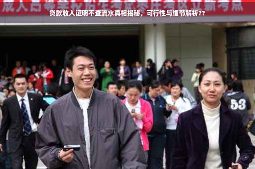 贷款收入证明不查流水真相揭秘，可行性与细节解析??