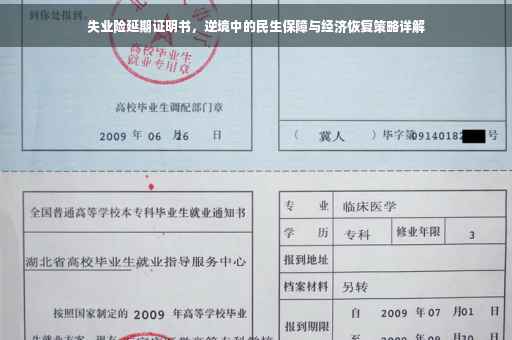 失业险延期证明书，逆境中的民生保障与经济恢复策略详解