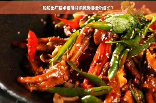 船舶出厂技术证明书详解及模板介绍?⚡️