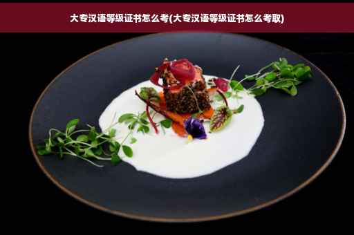 大专汉语等级证书怎么考(大专汉语等级证书怎么考取)