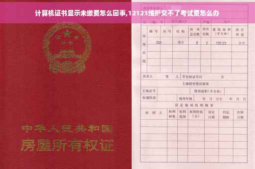 计算机证书显示未缴费怎么回事,12123维护交不了考试费怎么办